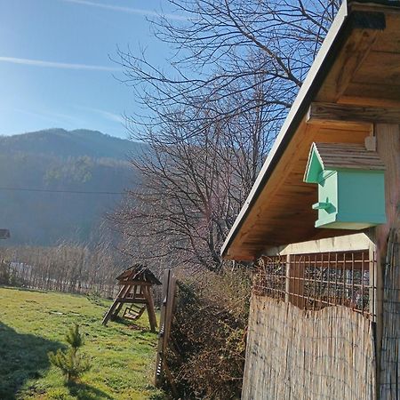Casuta Din Rusca Villa Sebesu de Jos Buitenkant foto