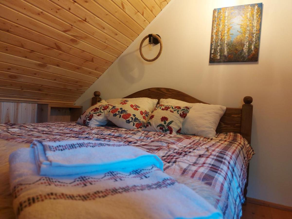 Casuta Din Rusca Villa Sebesu de Jos Buitenkant foto