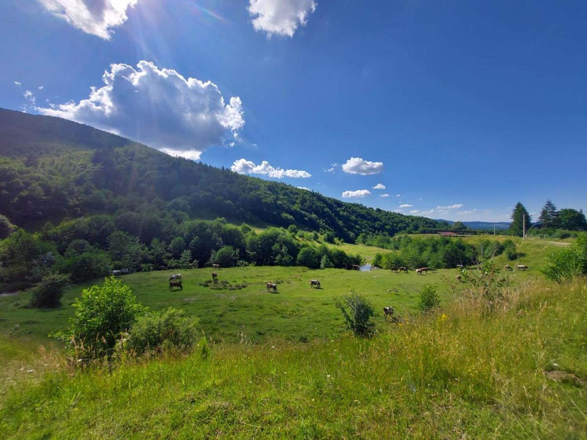 Casuta Din Rusca Villa Sebesu de Jos Buitenkant foto