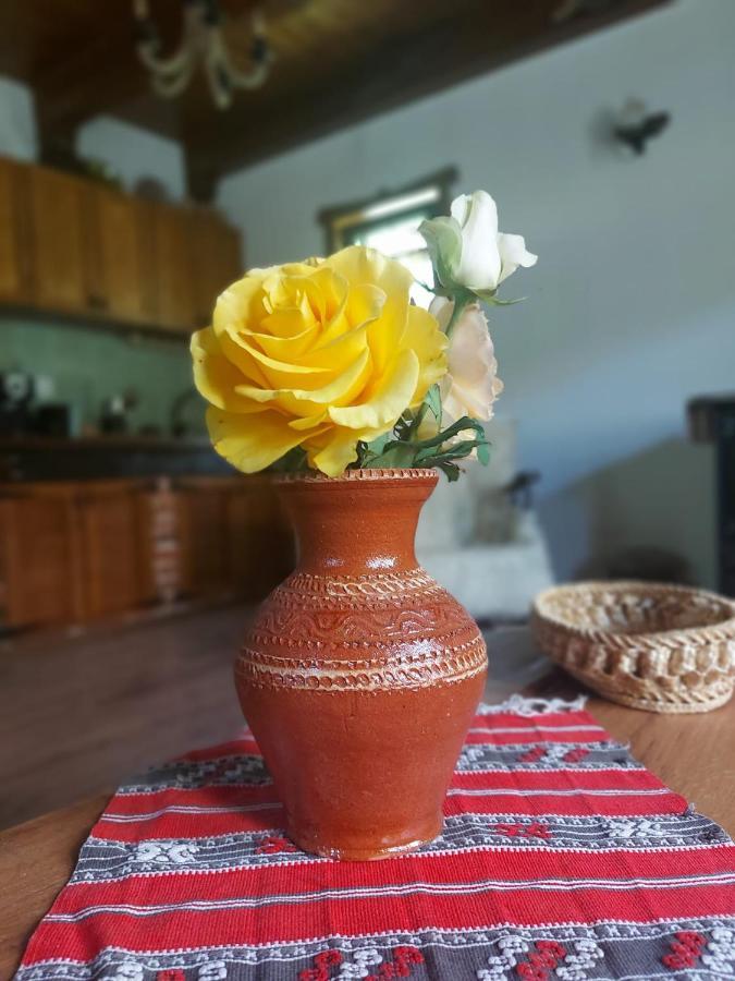 Casuta Din Rusca Villa Sebesu de Jos Buitenkant foto