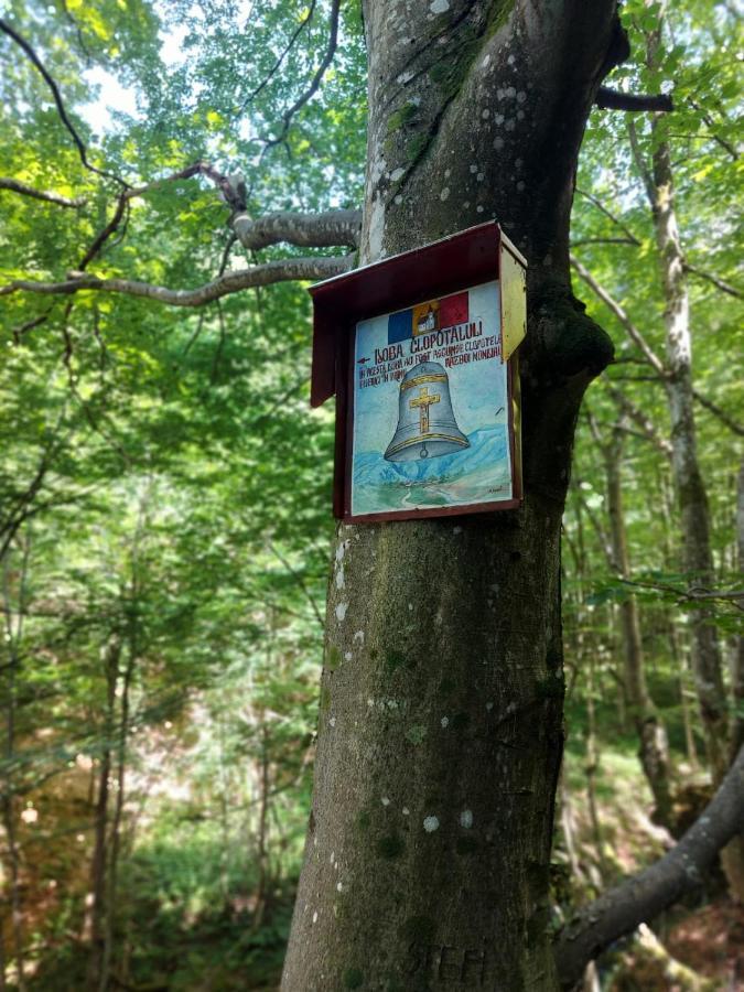 Casuta Din Rusca Villa Sebesu de Jos Buitenkant foto