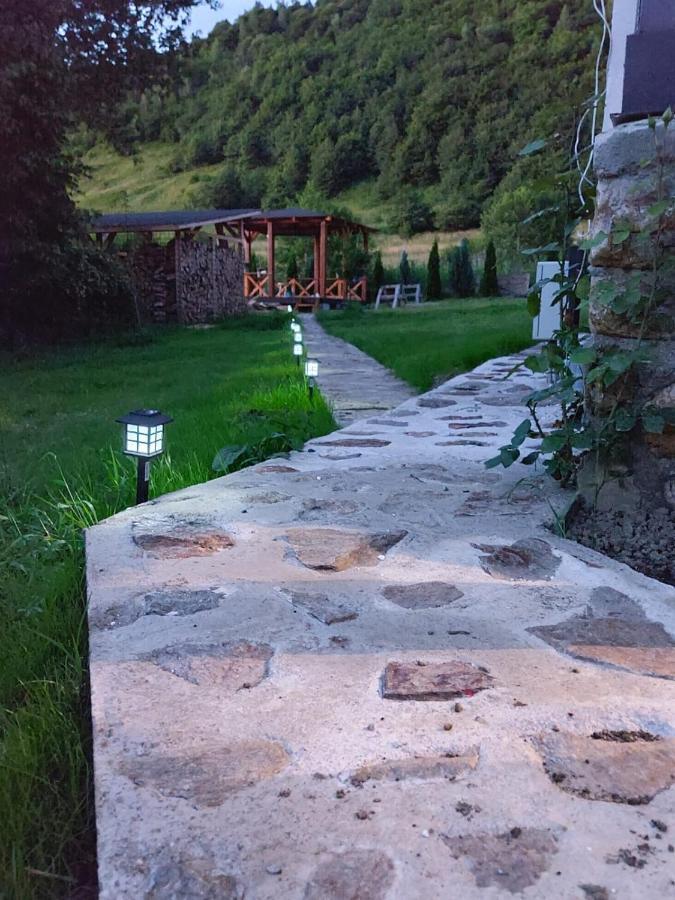Casuta Din Rusca Villa Sebesu de Jos Buitenkant foto