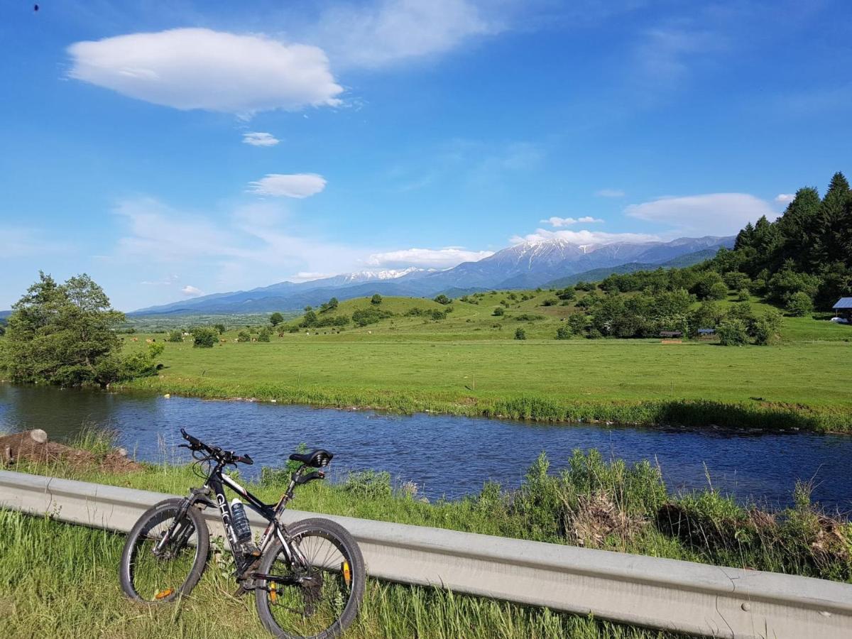 Casuta Din Rusca Villa Sebesu de Jos Buitenkant foto