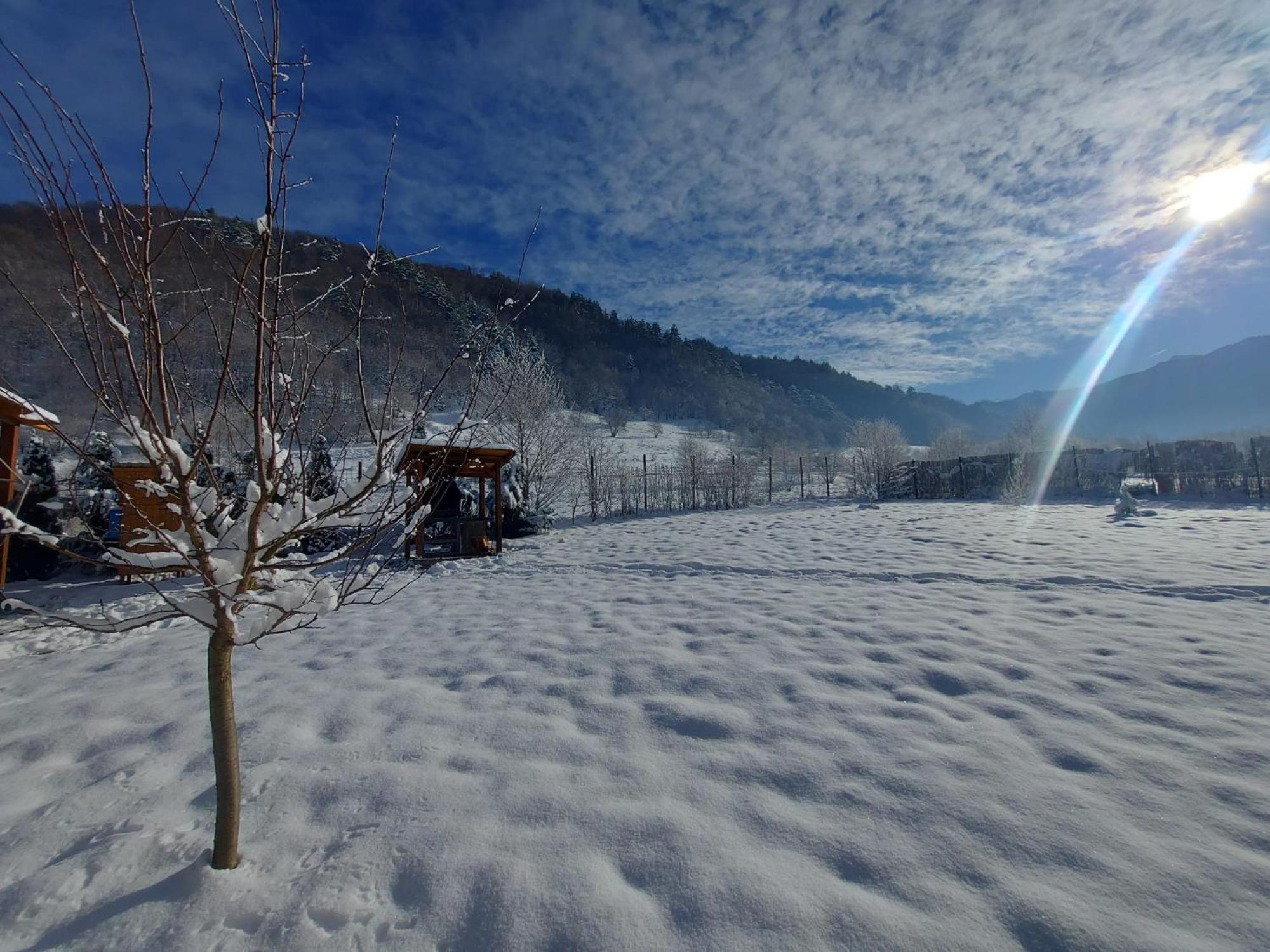 Casuta Din Rusca Villa Sebesu de Jos Buitenkant foto