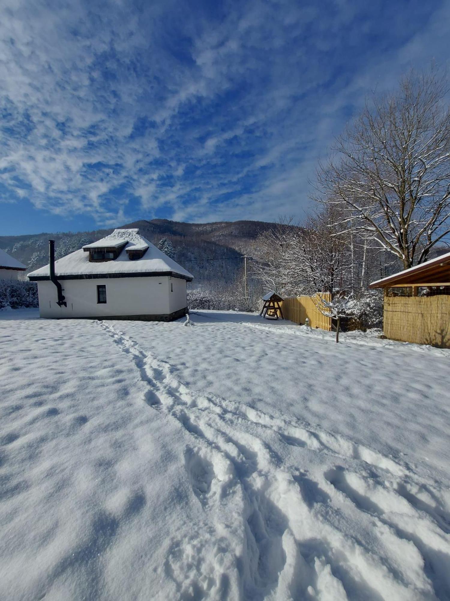 Casuta Din Rusca Villa Sebesu de Jos Buitenkant foto