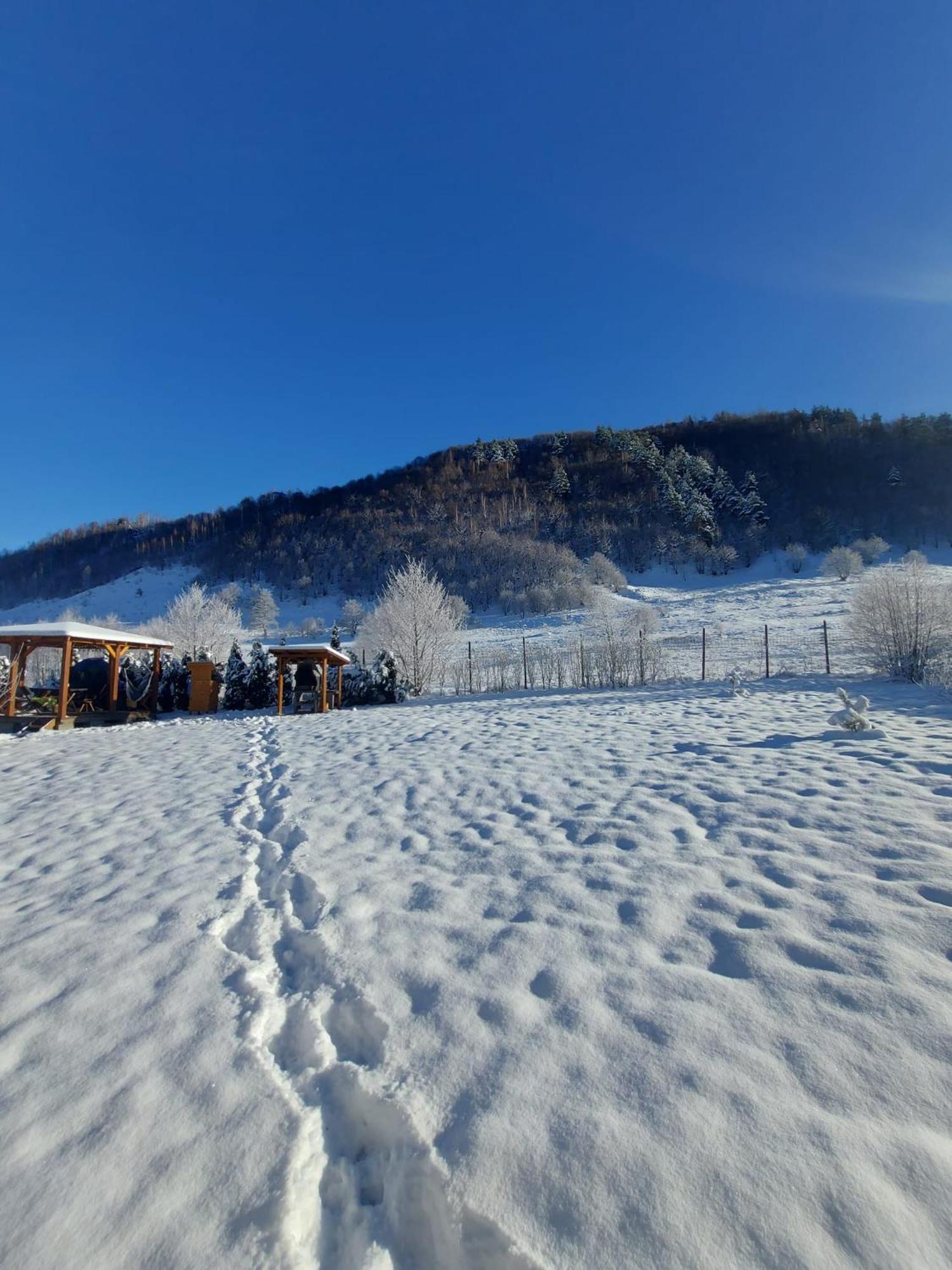 Casuta Din Rusca Villa Sebesu de Jos Buitenkant foto