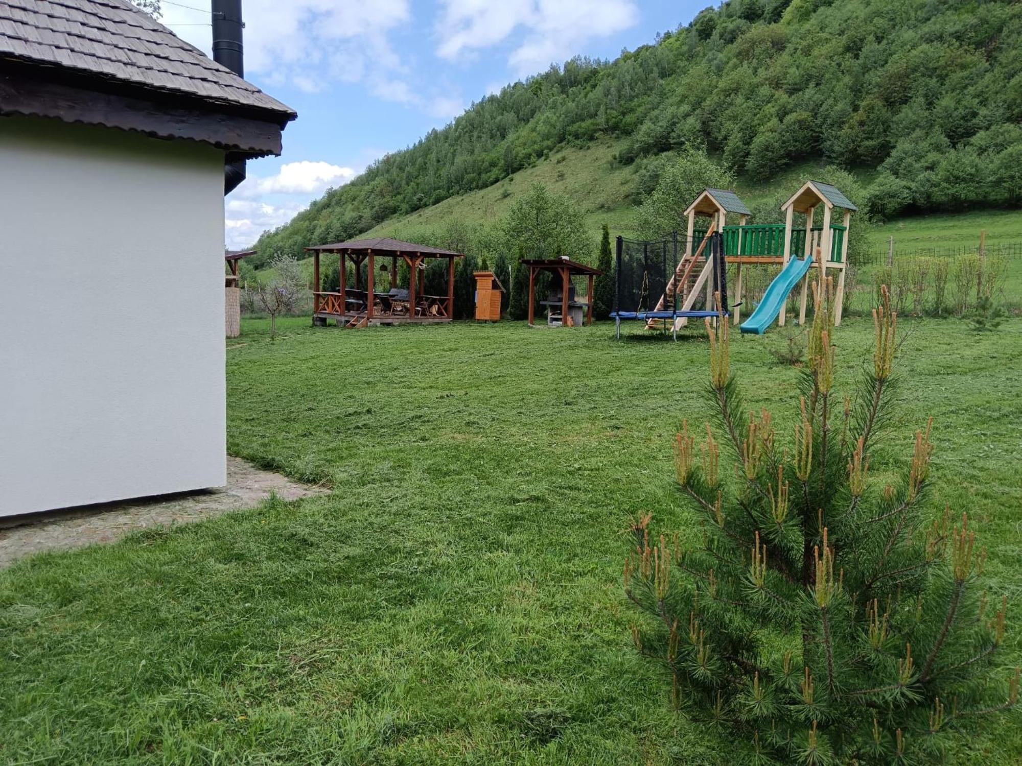 Casuta Din Rusca Villa Sebesu de Jos Buitenkant foto